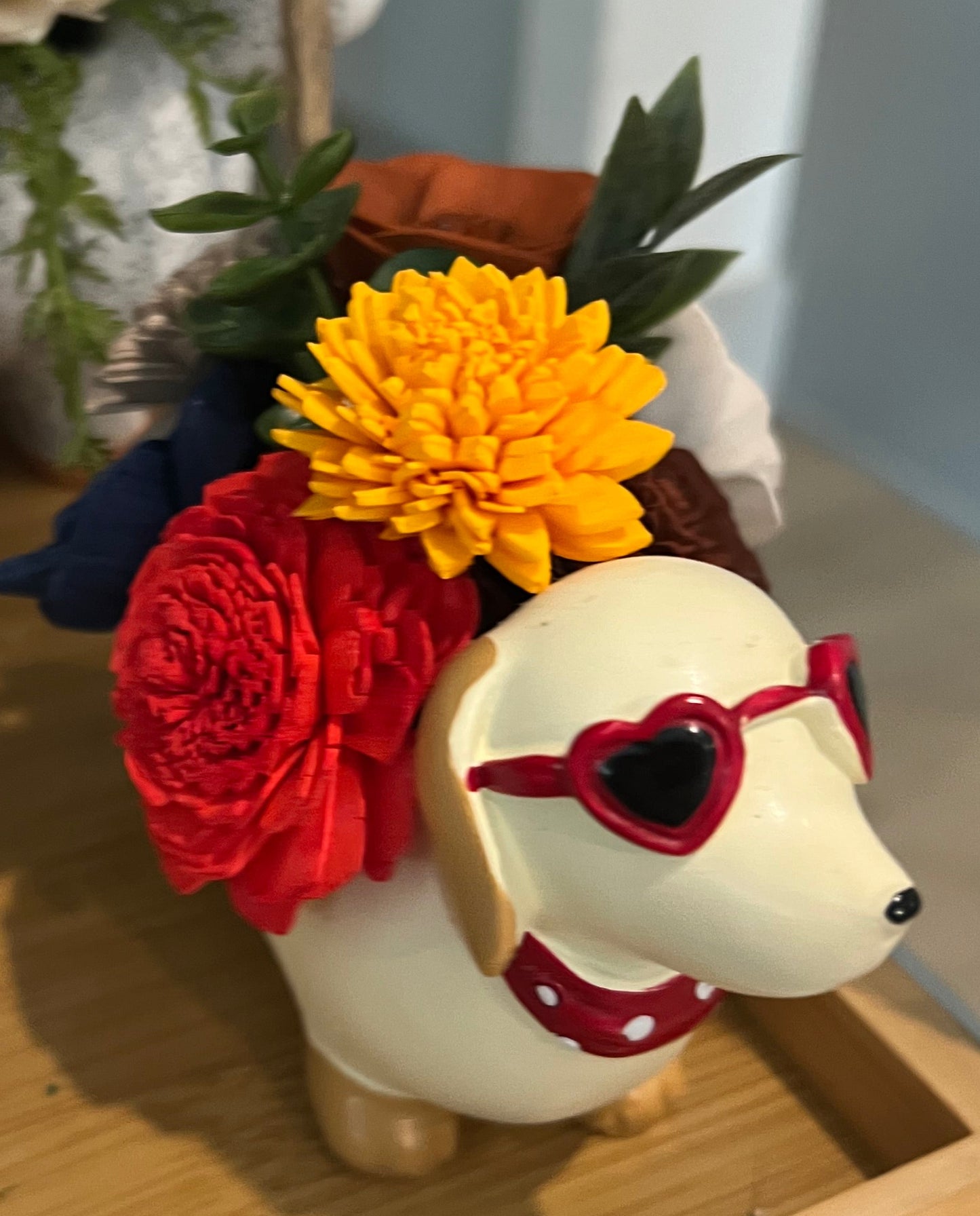 Sunshine Mini Dachshund