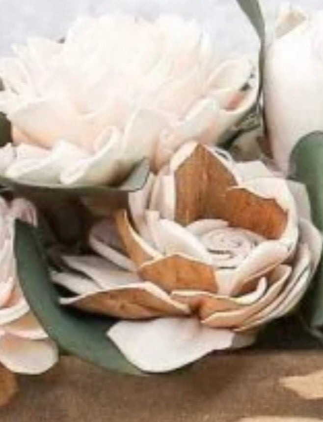 Raw Sola Wood Flower Assortment – Natural Collection (24 Count)