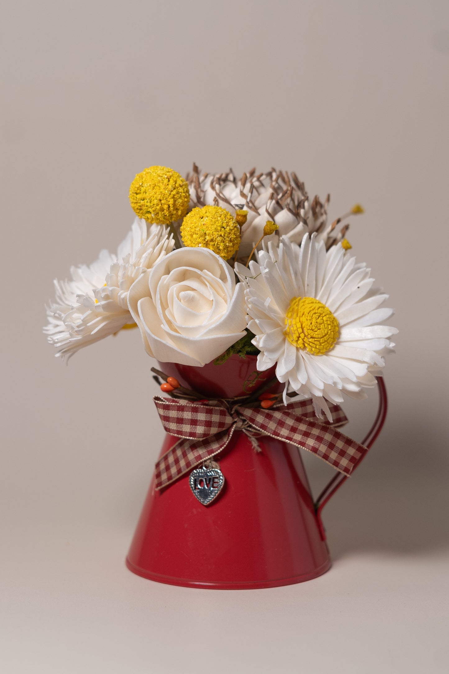 Daisy in Red Pitcher