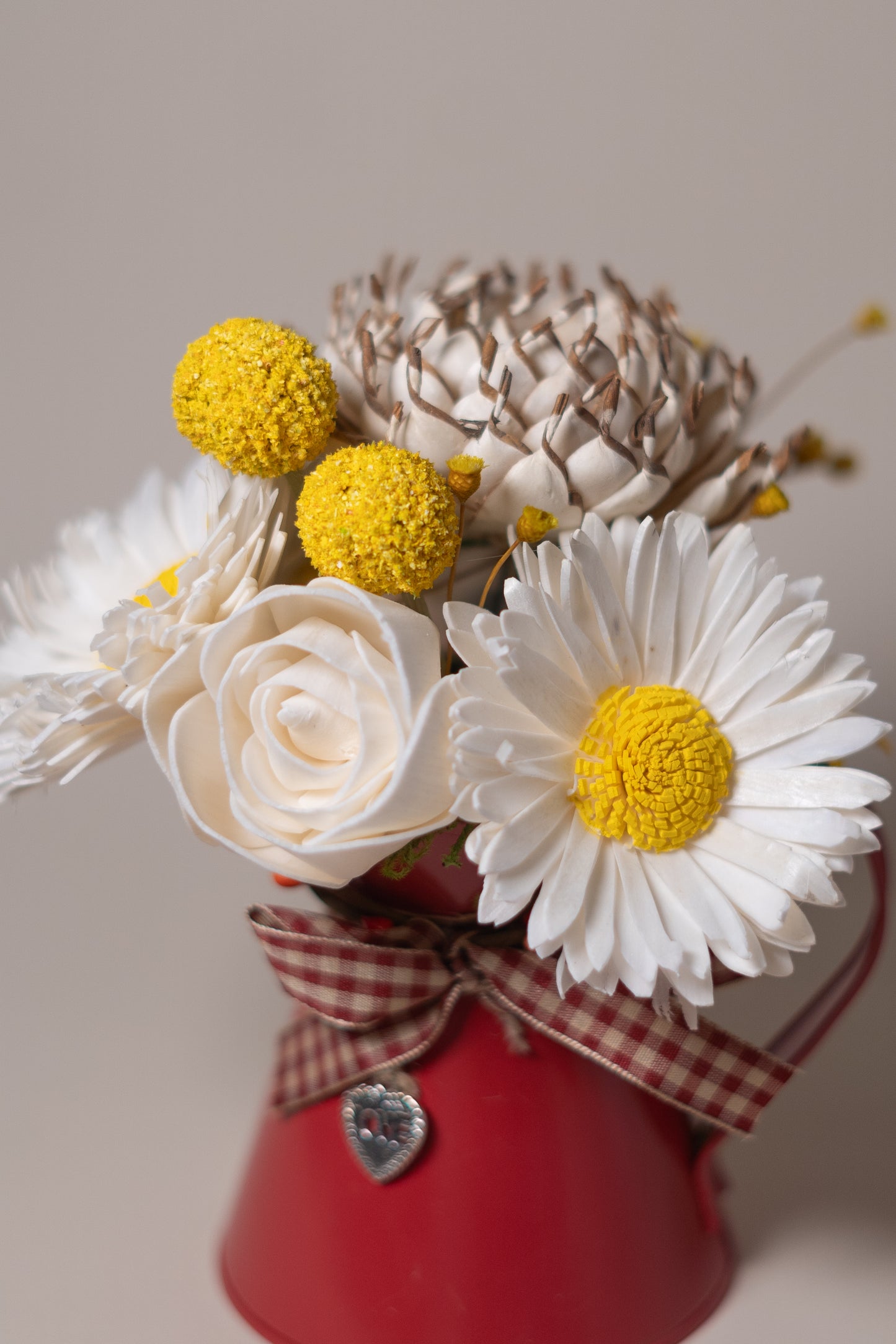 Daisy in Red Pitcher