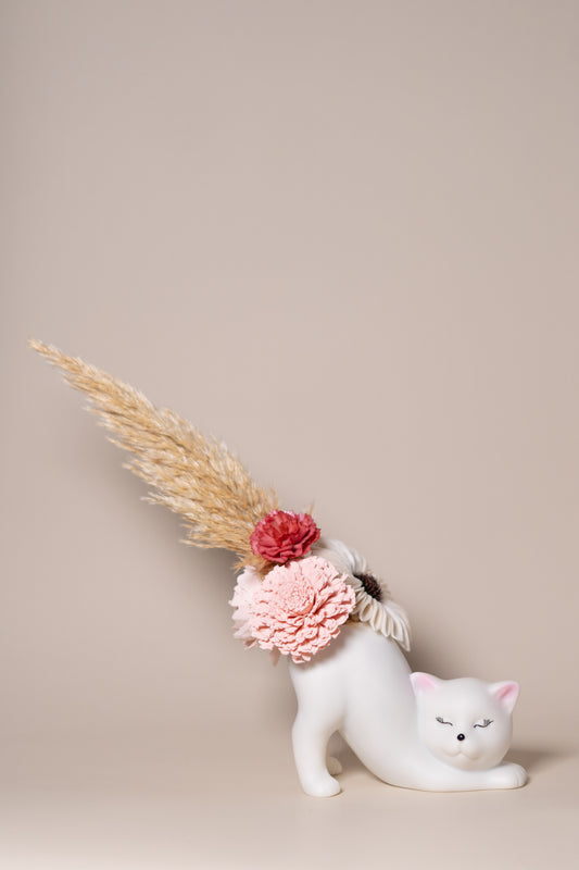 Kitty in Pink
