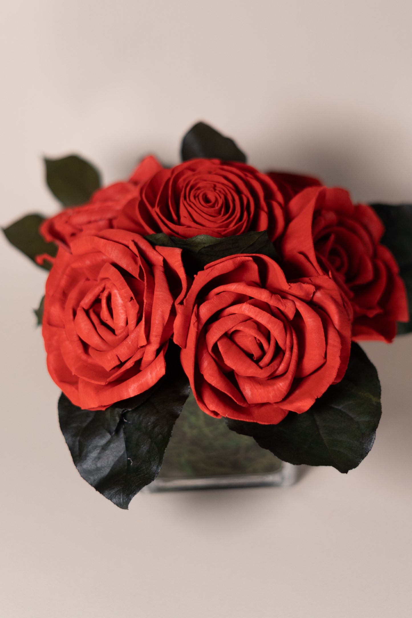 Red Roses