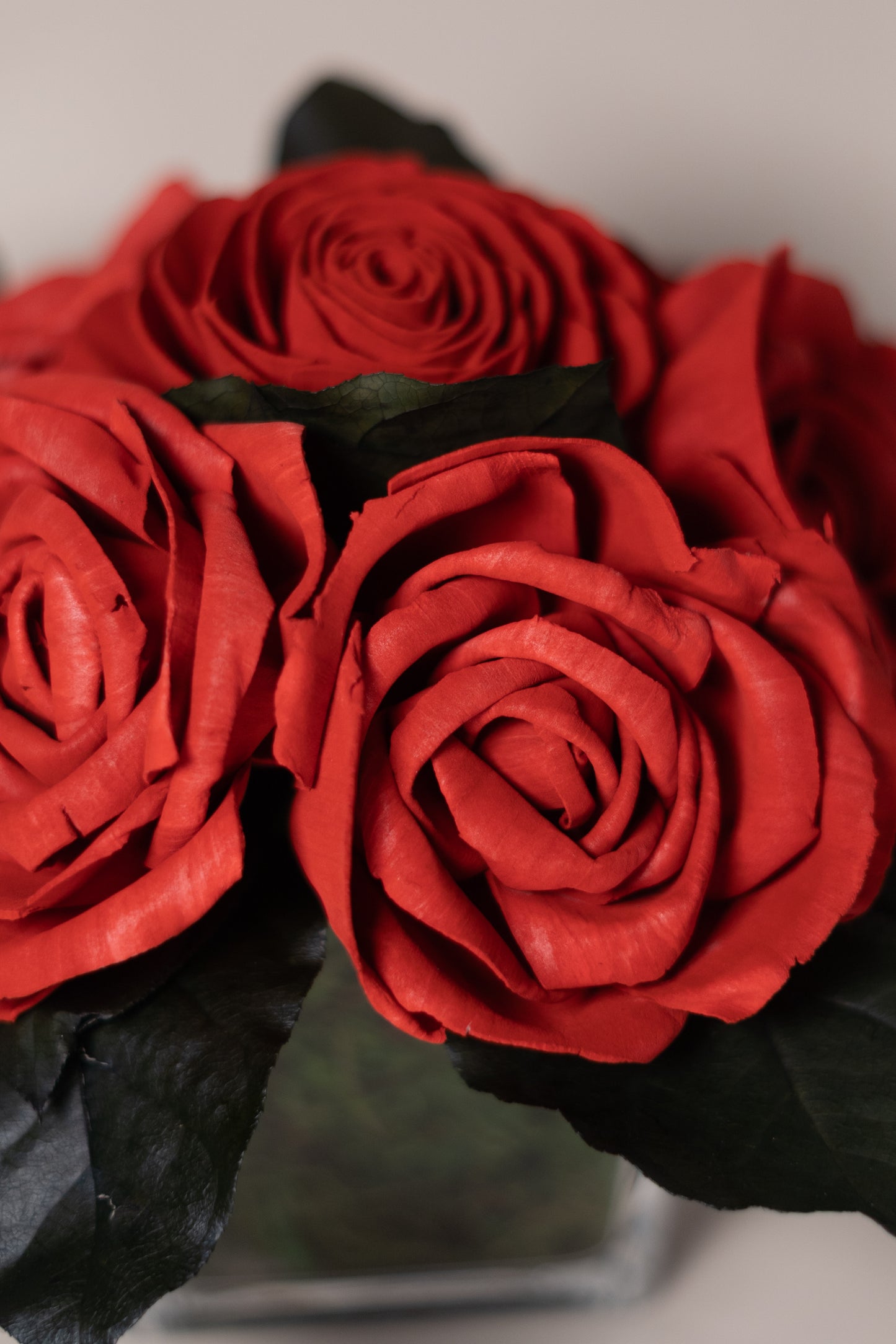 Red Roses