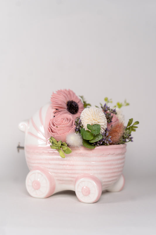 Baby Girl Carriage