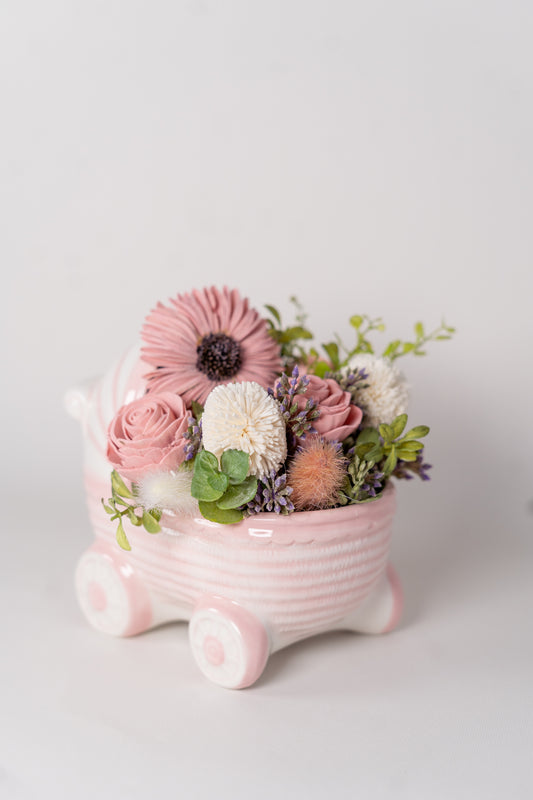 Baby Girl Carriage